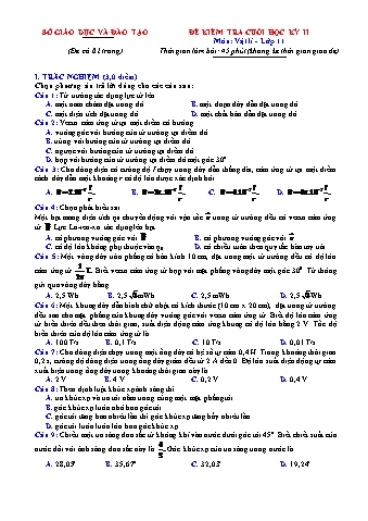 Đề kiểm tra cuối học kì 2 môn Vật lí Lớp 11 - Năm học 2021-2022 (Có hướng dẫn chấm)