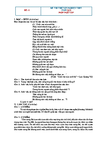 Đề thi thử Tốt nghiệp THPT môn Ngữ văn - Đề 19 - Năm học 2022 (Có hướng dẫn chấm)