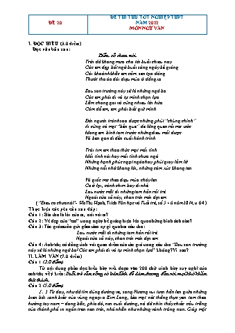 Đề thi thử Tốt nghiệp THPT môn Ngữ văn - Đề 20 - Năm học 2022 (Có hướng dẫn chấm)