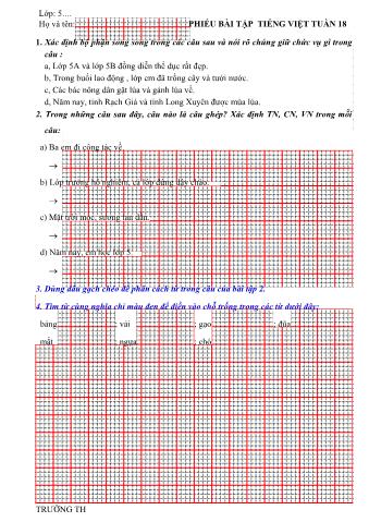 Phiếu bài tập Tuần 18 môn Tiếng Việt