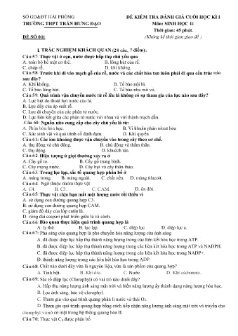2 Đề kiểm tra cuối học kì I Sinh học 11 - Trường THPT Trần Hưng Đạo (Có đáp án)