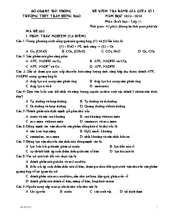Đề kiểm tra giữa học kì I Sinh học 11 - Mã đề 002 - Năm học 2023-2024 - Trường THPT Trần Hưng Đạo (Có đáp án)