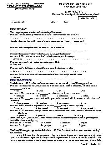 Đề kiểm tra giữa học kì I Tiếng Anh 11 - Mã đề 003 - Năm học 2023-2024 - Trường THPT Trần Hưng Đạo (Có đáp án + File nghe)
