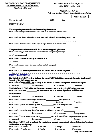 Đề kiểm tra giữa học kì I Tiếng Anh 11 - Mã đề 004 - Năm học 2023-2024 - Trường THPT Trần Hưng Đạo (Có đáp án + File nghe)