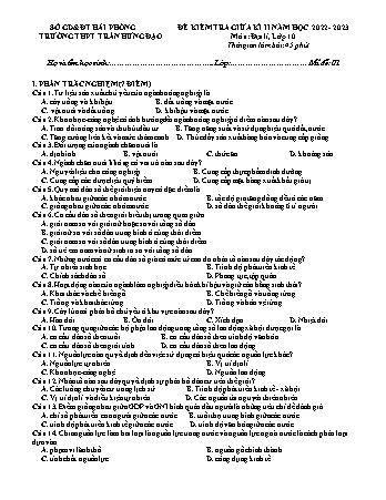 Đề kiểm tra giữa học kì II Địa lí 10 - Mã đề 01 - Năm học 2022-2023 - Trường THPT Trần Hưng Đạo (Có đáp án + Ma trận)