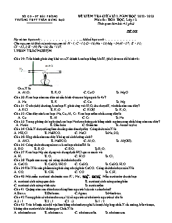 Đề kiểm tra giữa học kì II Hóa học 12 - Mã đề 001 - Năm học 2022-2023 - Trường THPT Trần Hưng Đạo (Có đáp án + Ma trận)