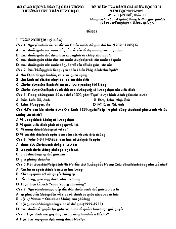 Đề kiểm tra giữa học kì II Lịch sử 11 - Mã đề 001 - Năm học 2022-2023 - Trường THPT Trần Hưng Đạo (Có đáp án + Ma trận)