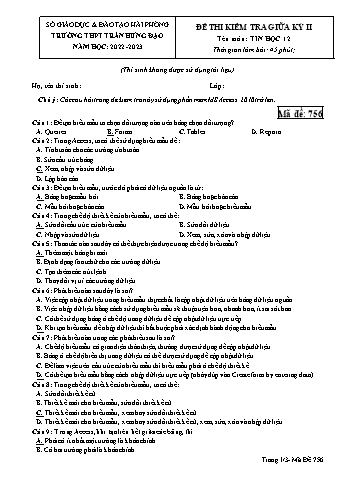 Ma trận Đề kiểm tra giữa học kì II Tin học 12 - Mã đề 756 - Năm học 2022-2023 - Trường THPT Trần Hưng Đạo